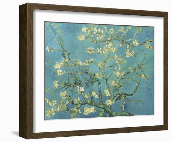 Almond Branches in Bloom, San Remy, c.1890-Vincent van Gogh-Framed Giclee Print