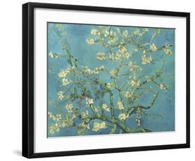 Almond Branches in Bloom, San Remy, c.1890-Vincent van Gogh-Framed Giclee Print