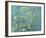 Almond Branches in Bloom, San Remy, c.1890-Vincent van Gogh-Framed Giclee Print