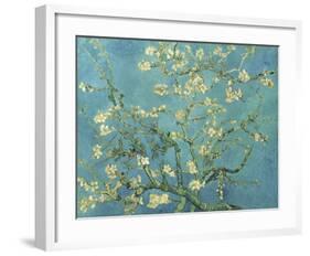 Almond Branches in Bloom, San Remy, c.1890-Vincent van Gogh-Framed Giclee Print