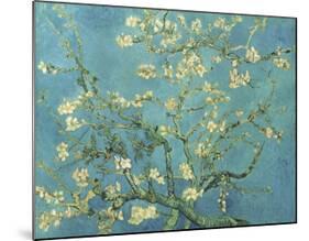 Almond Branches in Bloom, San Remy, c.1890-Vincent van Gogh-Mounted Giclee Print