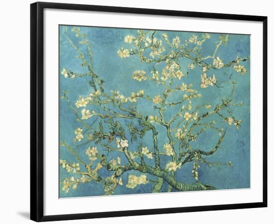 Almond Branches in Bloom, San Remy, c.1890-Vincent van Gogh-Framed Giclee Print