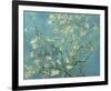 Almond Branches in Bloom, San Remy, c.1890-Vincent van Gogh-Framed Giclee Print