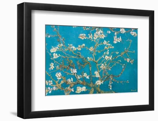 Almond Branches in Bloom, San Remy, c.1890-Vincent van Gogh-Framed Premium Giclee Print