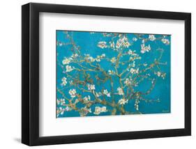 Almond Branches in Bloom, San Remy, c.1890-Vincent van Gogh-Framed Premium Giclee Print