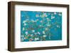 Almond Branches in Bloom, San Remy, c.1890-Vincent van Gogh-Framed Premium Giclee Print