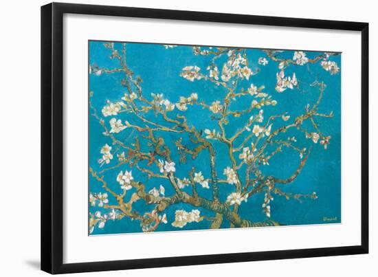 Almond Branches in Bloom, San Remy, c.1890-Vincent van Gogh-Framed Premium Giclee Print