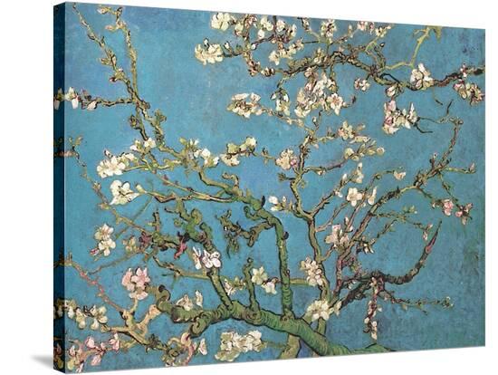 Almond Branches in Bloom, San Remy, c.1890' Stretched Canvas ...