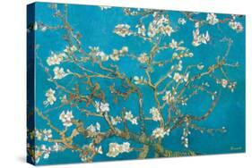 Almond Branches in Bloom, San Remy, c.1890-Vincent van Gogh-Stretched Canvas