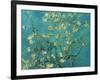 Almond Branches in Bloom, San Remy, c.1890-Vincent van Gogh-Framed Art Print