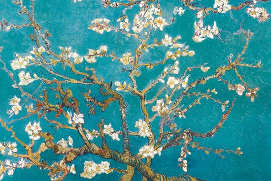 Almond Branches in Bloom, San Remy, c.1890-Vincent van Gogh-Poster