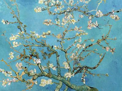 https://imgc.allpostersimages.com/img/posters/almond-branches-in-bloom-san-remy-c-1890_u-L-F5N1L10.jpg?artPerspective=n