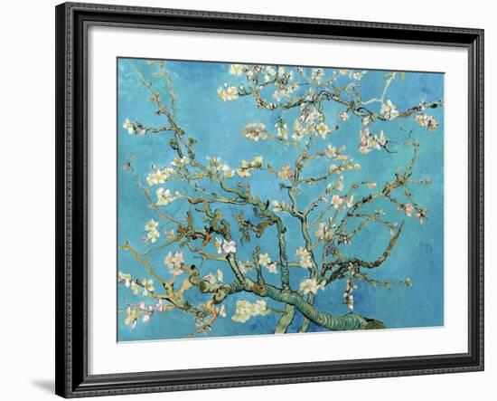 Almond Branches in Bloom, San Remy, c.1890-Vincent van Gogh-Framed Art Print