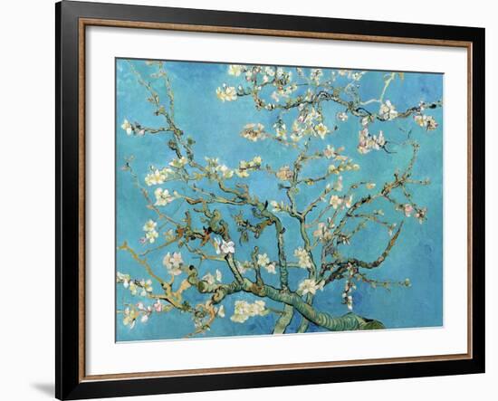 Almond Branches in Bloom, San Remy, c.1890-Vincent van Gogh-Framed Art Print