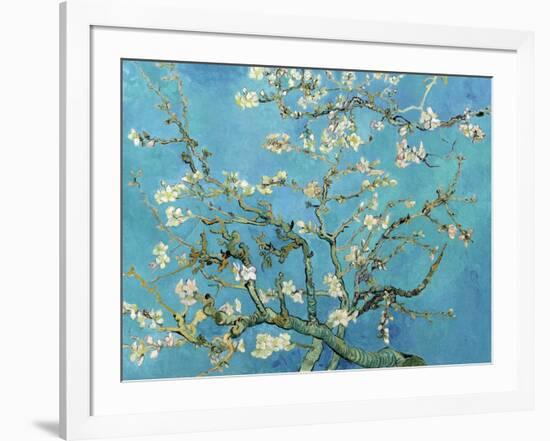 Almond Branches in Bloom, San Remy, c.1890-Vincent van Gogh-Framed Art Print