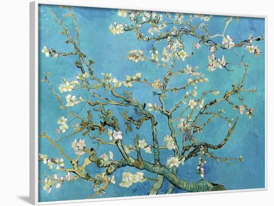 Almond Branches in Bloom, San Remy, c.1890-Vincent van Gogh-Framed Art Print