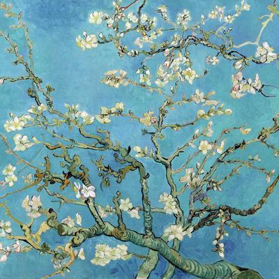 https://imgc.allpostersimages.com/img/posters/almond-branches-in-bloom-san-remy-c-1890_u-L-F5N1LF0.jpg?artPerspective=n