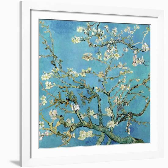 Almond Branches in Bloom, San Remy, c.1890-Vincent van Gogh-Framed Art Print