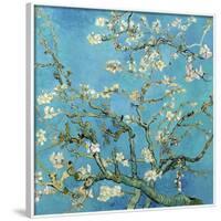 Almond Branches in Bloom, San Remy, c.1890-Vincent van Gogh-Framed Art Print