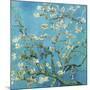 Almond Branches in Bloom, San Remy, c.1890-Vincent van Gogh-Mounted Art Print