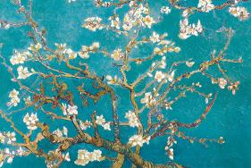 Almond Branches in Bloom, San Remy, c.1890-Vincent van Gogh-Lamina Framed Poster