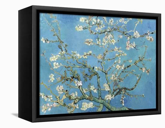 Almond Branches in Bloom, San Remy, c.1890-Vincent van Gogh-Framed Stretched Canvas