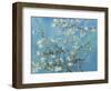 Almond Branches in Bloom, San Remy, c.1890-Vincent van Gogh-Framed Art Print