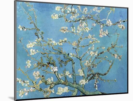 Almond Branches in Bloom, San Remy, c.1890-Vincent van Gogh-Mounted Art Print