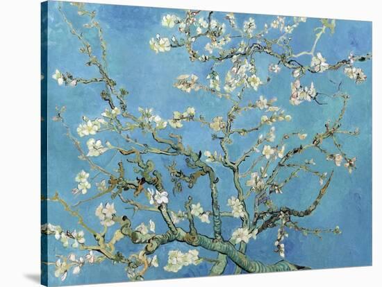 Almond Branches in Bloom, San Remy, c.1890-Vincent van Gogh-Stretched Canvas