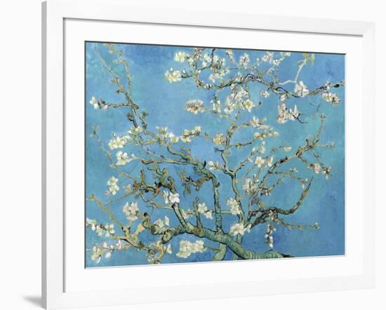 Almond Branches in Bloom, San Remy, c.1890-Vincent van Gogh-Framed Premium Giclee Print