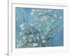 Almond Branches in Bloom, San Remy, c.1890-Vincent van Gogh-Framed Premium Giclee Print