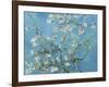 Almond Branches in Bloom, San Remy, c.1890-Vincent van Gogh-Framed Premium Giclee Print