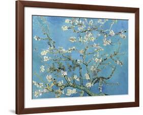 Almond Branches in Bloom, San Remy, c.1890-Vincent van Gogh-Framed Premium Giclee Print