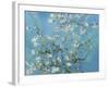 Almond Branches in Bloom, San Remy, c.1890-Vincent van Gogh-Framed Premium Giclee Print