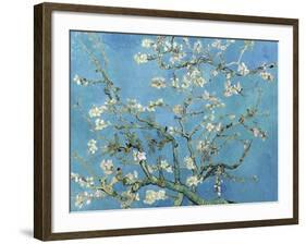 Almond Branches in Bloom, San Remy, c.1890-Vincent van Gogh-Framed Premium Giclee Print