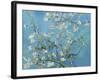 Almond Branches in Bloom, San Remy, c.1890-Vincent van Gogh-Framed Premium Giclee Print