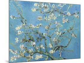 Almond Branches in Bloom, San Remy, c.1890-Vincent van Gogh-Mounted Art Print