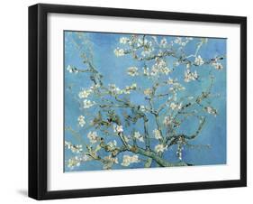 Almond Branches in Bloom, San Remy, c.1890-Vincent van Gogh-Framed Premium Giclee Print