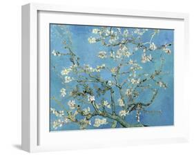 Almond Branches in Bloom, San Remy, c.1890-Vincent van Gogh-Framed Premium Giclee Print