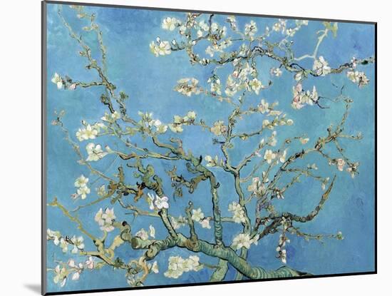 Almond Branches in Bloom, San Remy, c.1890-Vincent van Gogh-Mounted Premium Giclee Print