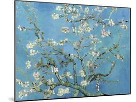 Almond Branches in Bloom, San Remy, c.1890-Vincent van Gogh-Mounted Premium Giclee Print