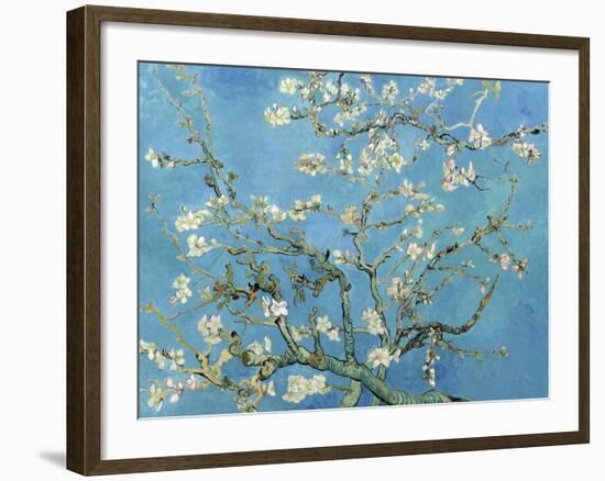 Almond Branches in Bloom, San Remy, c.1890-Vincent van Gogh-Framed Art Print