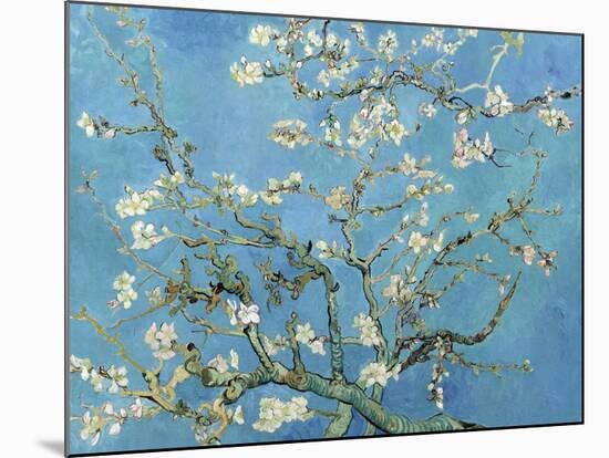 Almond Branches in Bloom, San Remy, c.1890-Vincent van Gogh-Mounted Art Print