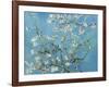 Almond Branches in Bloom, San Remy, c.1890-Vincent van Gogh-Framed Art Print