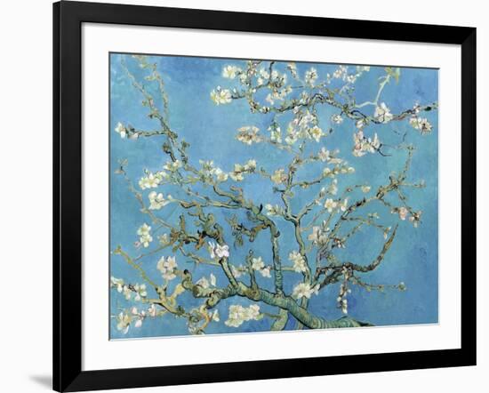 Almond Branches in Bloom, San Remy, c.1890-Vincent van Gogh-Framed Art Print