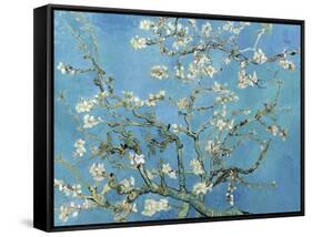 Almond Branches in Bloom, San Remy, c.1890-Vincent van Gogh-Framed Stretched Canvas