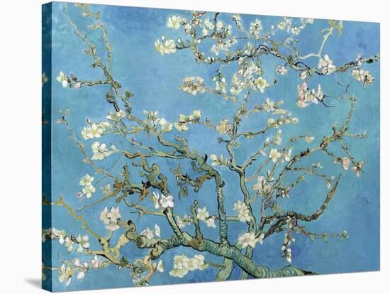 Almond Branches in Bloom, San Remy, c.1890-Vincent van Gogh-Stretched Canvas