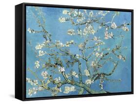 Almond Branches in Bloom, San Remy, c.1890-Vincent van Gogh-Framed Stretched Canvas