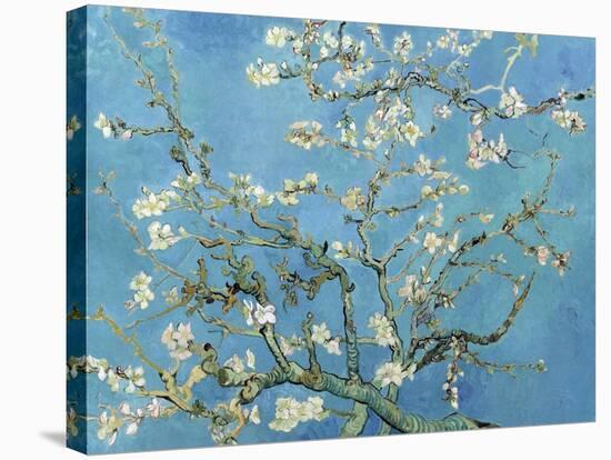 Almond Branches in Bloom, San Remy, c.1890-Vincent van Gogh-Stretched Canvas