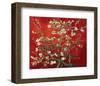 Almond Branches in Red-null-Framed Premium Giclee Print